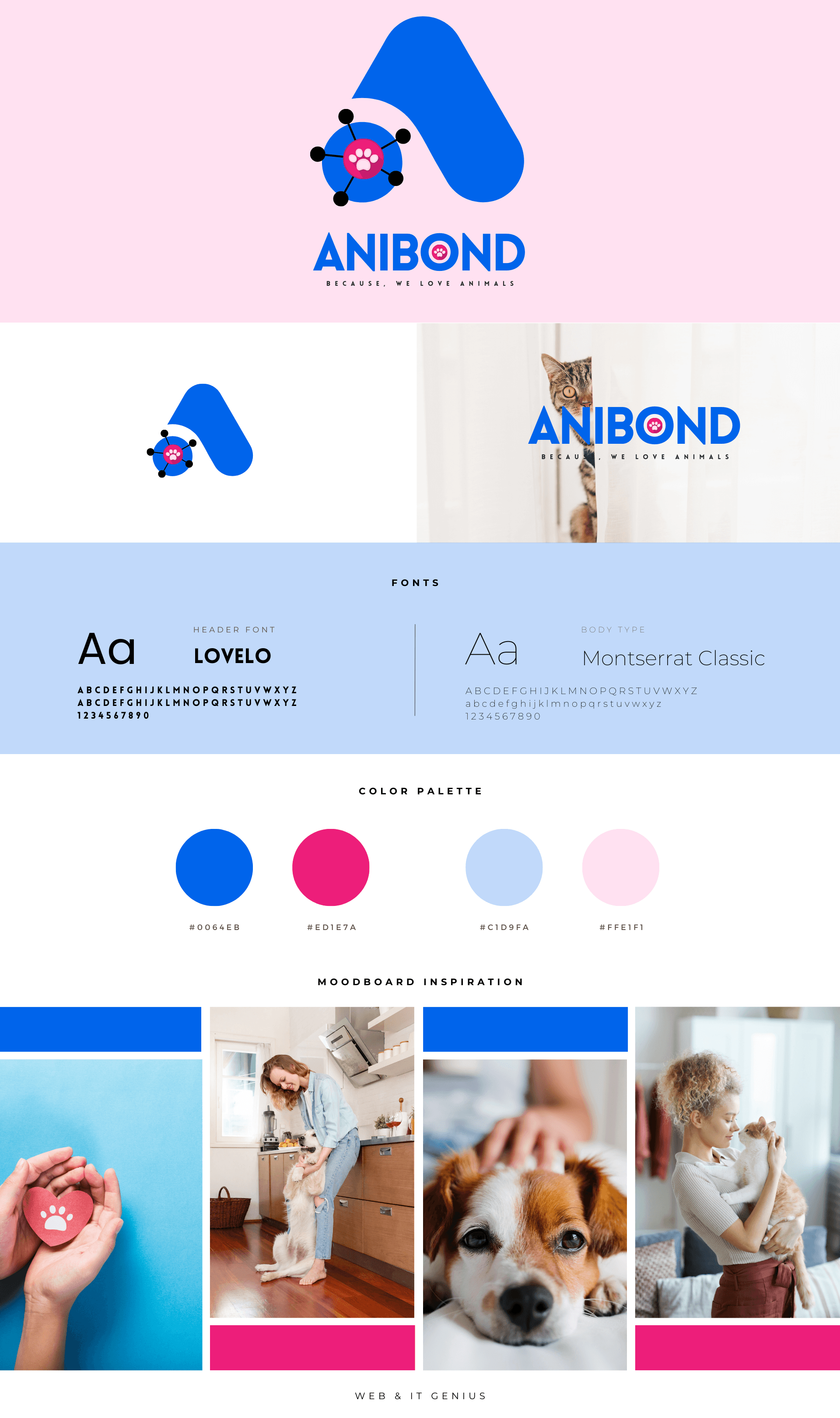 Anibond branding 1