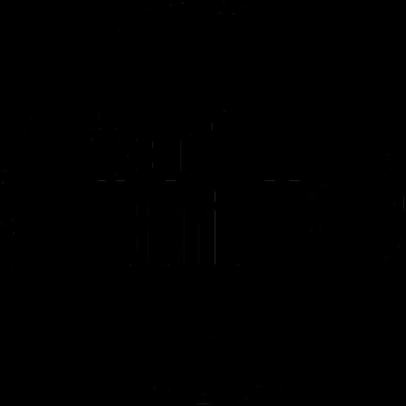 Web & IT Genius Logo